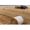 河南周口逍遙大量收麥秸送到400一噸