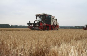 習近平向全國農民和“三農”戰線上的同志們致以節日祝賀和誠摯問候