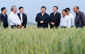 中共中央國務院關于進一步深化農村改革扎實推進鄉村全面振興的意見